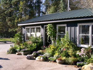 Saul Nursery Customers Visiting The Atlanta S Yard Fondly Known As Swamp Or Alpharetta See New Styles Of Landscape And Container Design